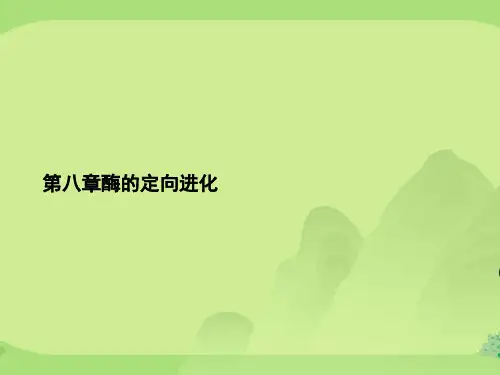 第八章酶的定向进化