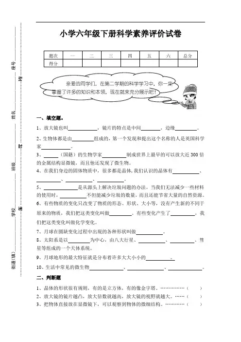 小学六年级下册科学素养评价试卷