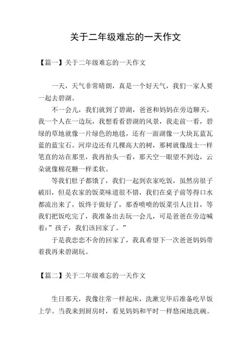 关于二年级难忘的一天作文