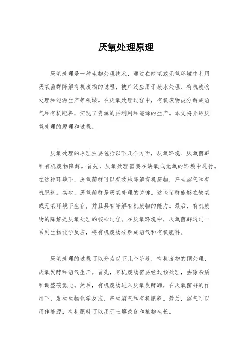 厌氧处理原理