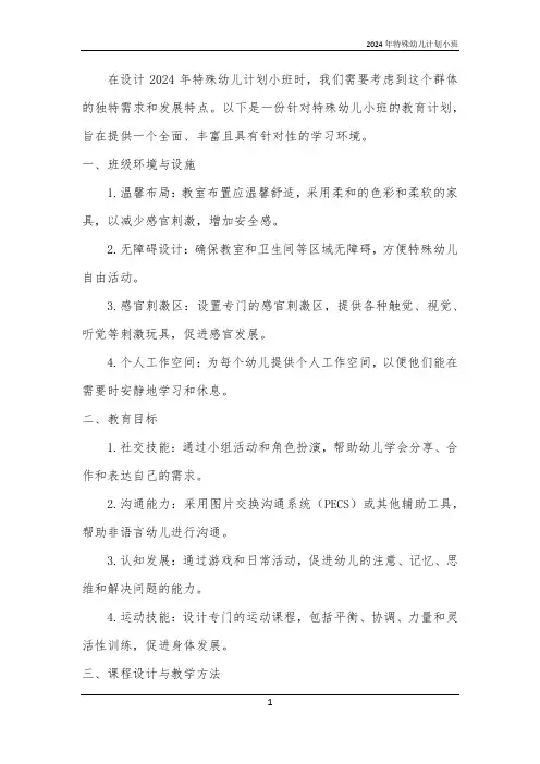 2024年特殊幼儿计划小班