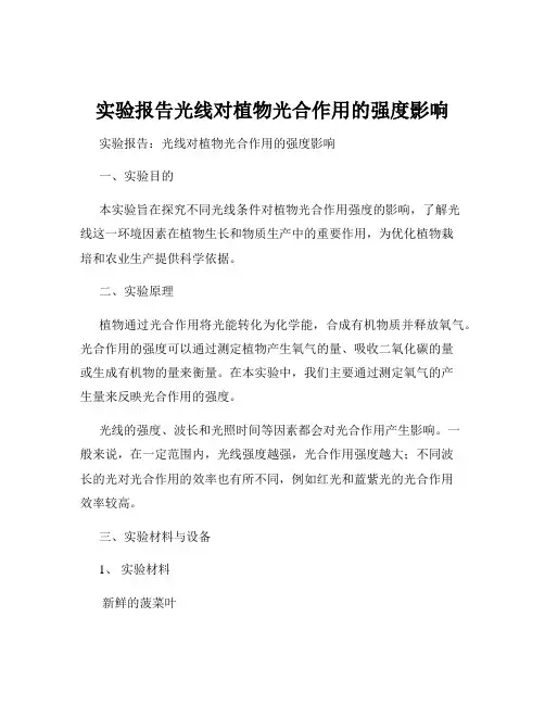 实验报告光线对植物光合作用的强度影响