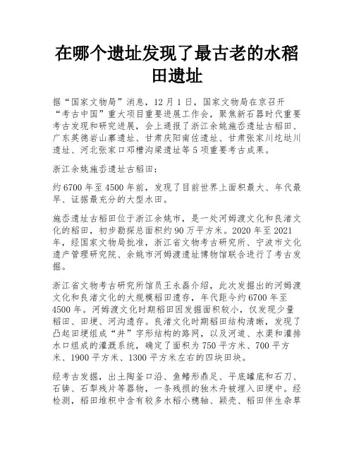 在哪个遗址发现了最古老的水稻田遗址