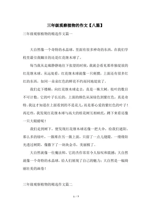 三年级观察植物的作文【八篇】