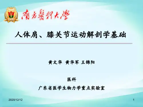 人体肩关节膝关节运动解剖学基础 ppt课件