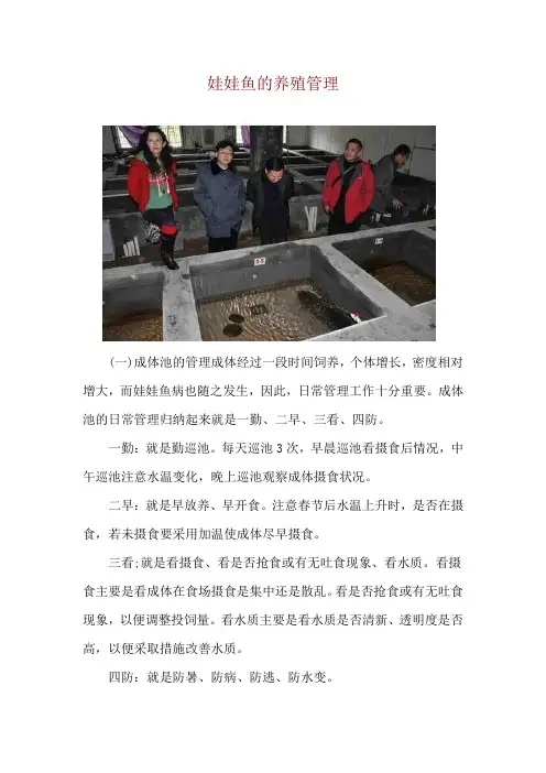 娃娃鱼的养殖管理