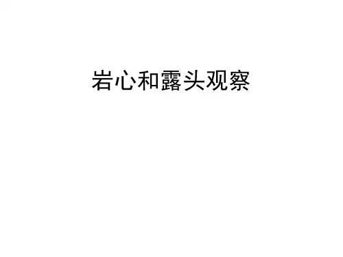 岩心和露头