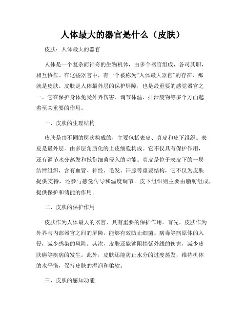 人体最大的器官是什么(皮肤)