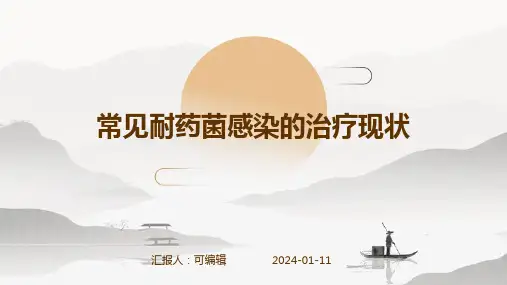 常见耐药菌感染的治疗现状
