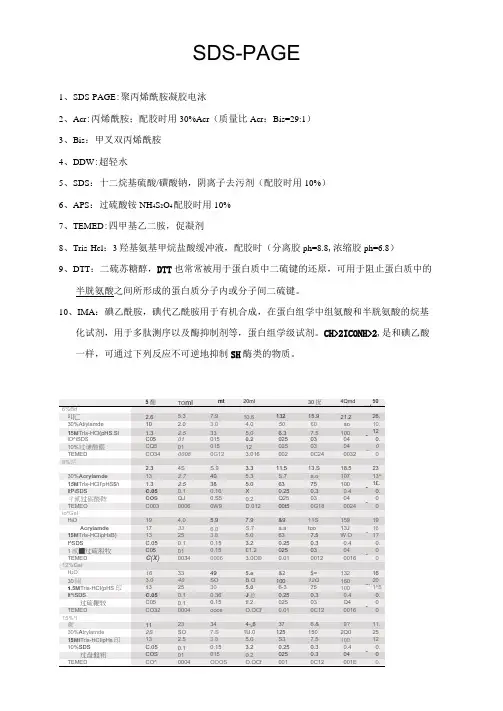 SDS-PAGE分离胶-浓缩胶配方