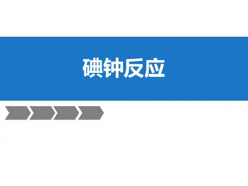 物理化学实验—碘钟反应