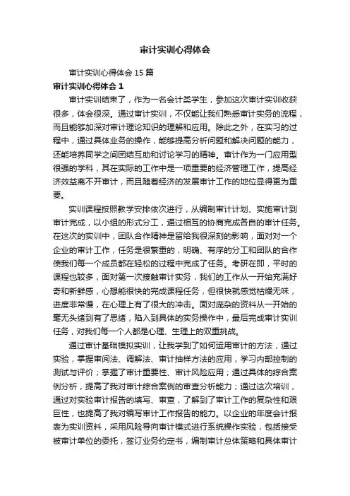 审计实训心得体会15篇