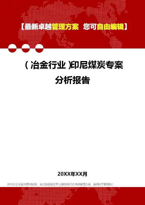 2020年(冶金行业)印尼煤炭专案分析报告