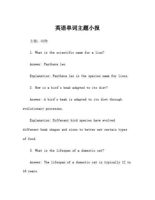 英语单词主题小报