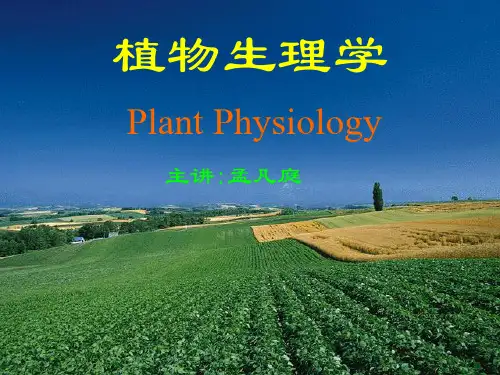 植物生理学课件-PPT课件