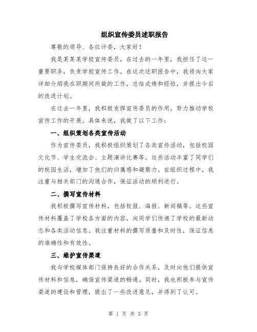 组织宣传委员述职报告