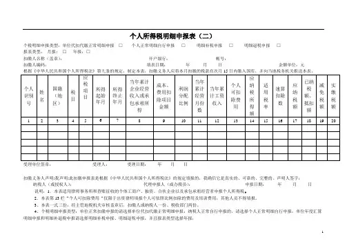 个人所得税明细申报表(二)
