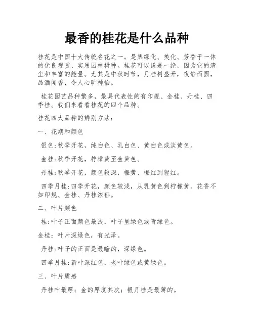 最香的桂花是什么品种