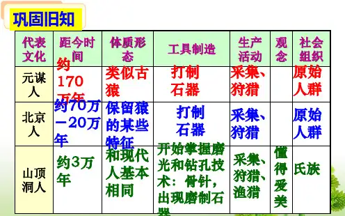 人教版七年级上册第一单元第二课原始的农耕生活(共40张PPT)
