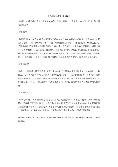 遇见最美的你作文600字高品质版