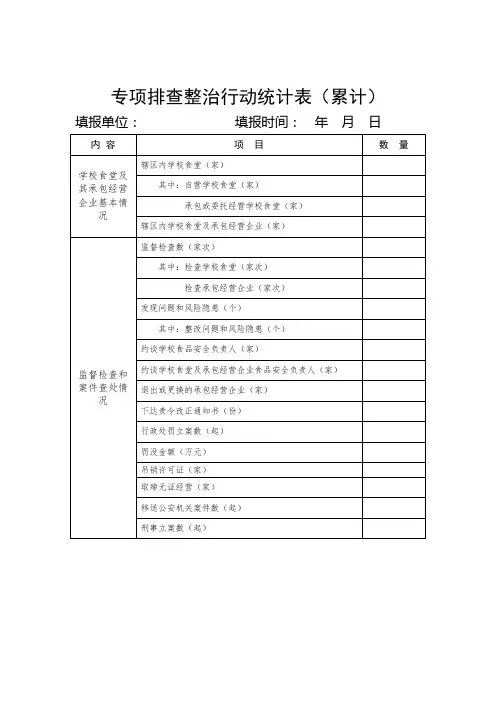 专项排查整治行动统计表(累计)