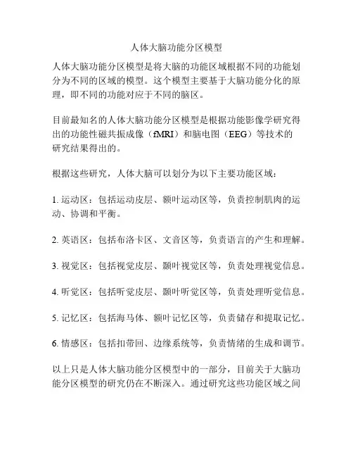 人体大脑功能分区模型