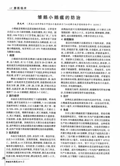雏鹅小鹅瘟的防治
