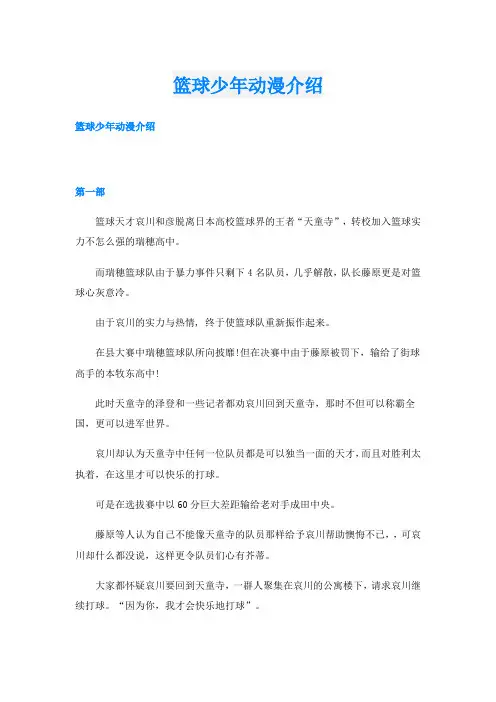 篮球少年动漫介绍