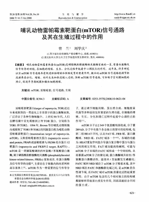 哺乳动物雷帕霉素靶蛋白(mTOR)信号通路及其在生殖过程中的作用