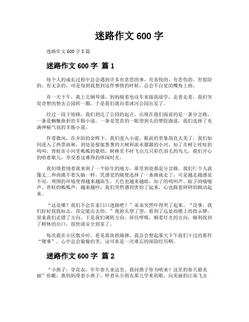 迷路作文600字
