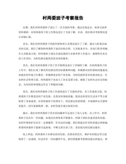 村两委班子考察报告