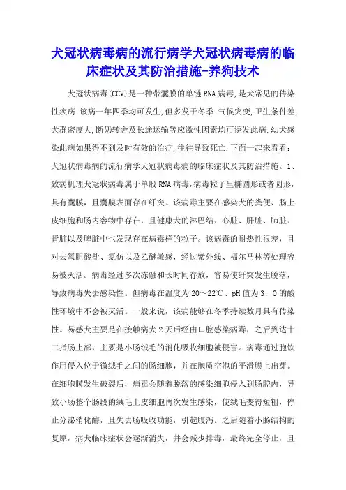 犬冠状病毒病的流行病学 犬冠状病毒病的临床症状及其防治措施 - 养狗技术