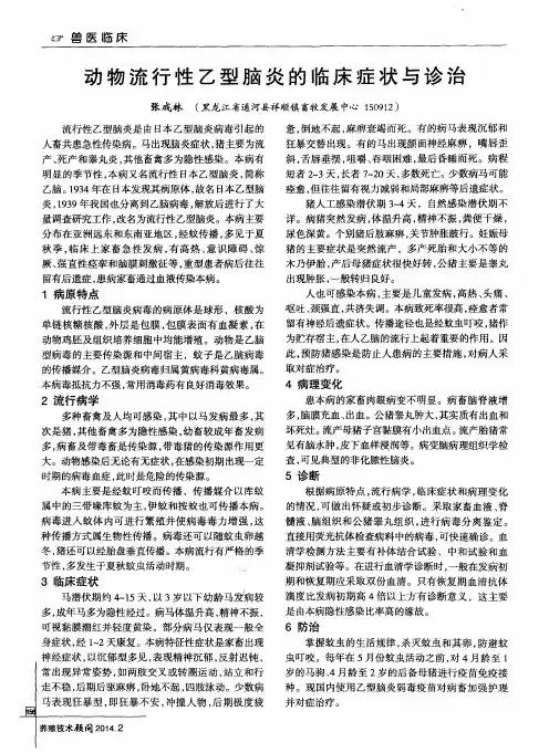 动物流行性乙型脑炎的临床症状与诊治