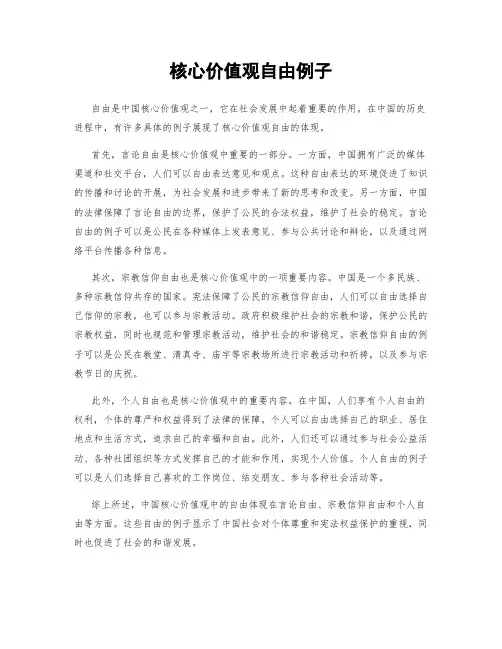 核心价值观自由例子