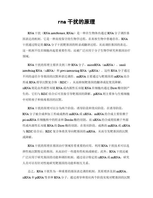 rna干扰的原理