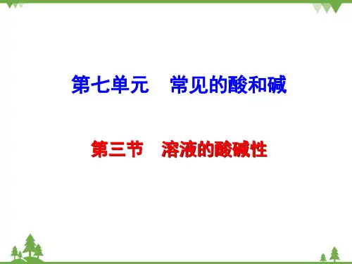 鲁教版九年级化学下册第七单元第三节溶液的酸碱性课件共28张PPT