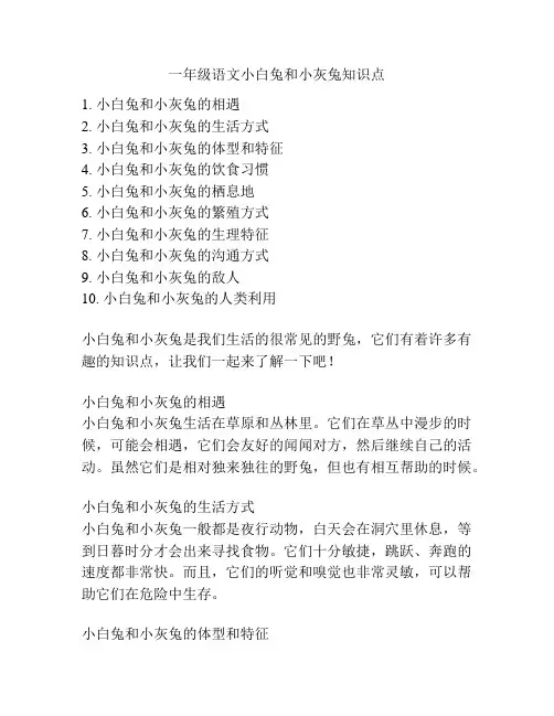 一年级语文小白兔和小灰兔知识点
