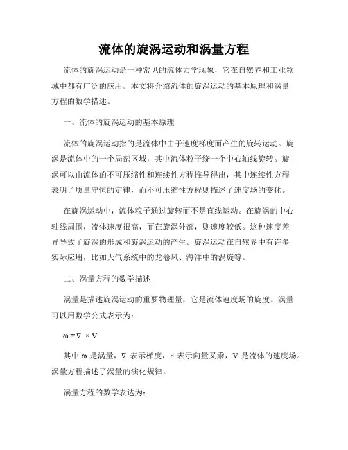 流体的旋涡运动和涡量方程