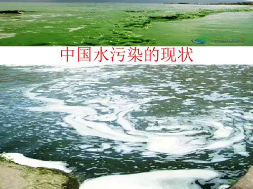 中国水污染现状