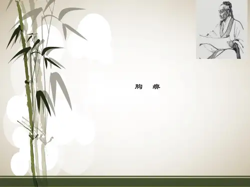 胸痹的ppt