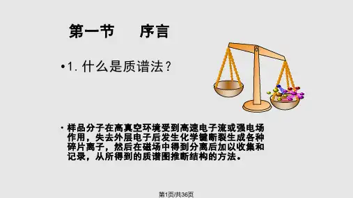 有机质谱解析PPT课件