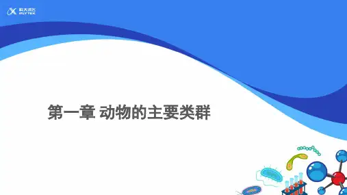《第一章 动物的主要类群》复习课教学PPT课件【初中生物人教版八年级上册】