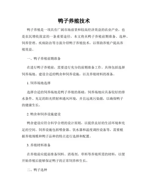 鸭子养殖技术