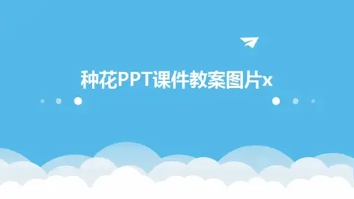 种花PPT课件教案图片x