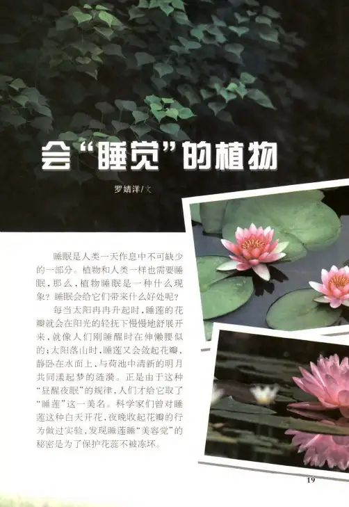 会“睡觉”的植物
