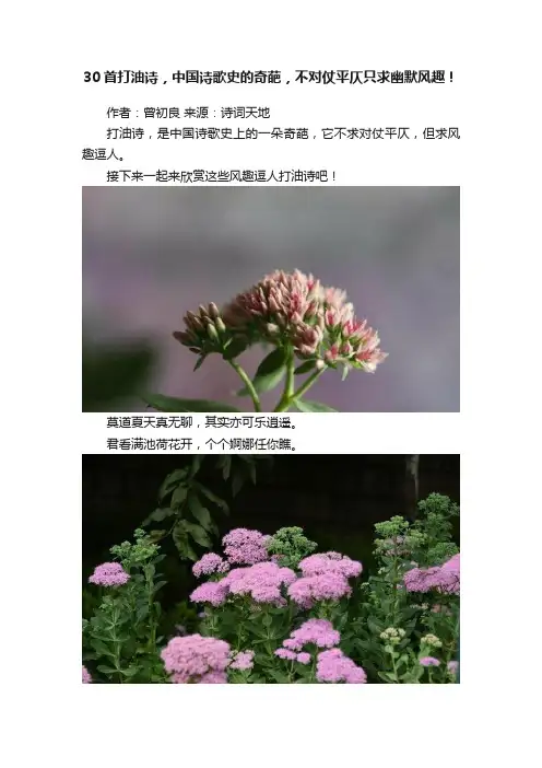 30首打油诗，中国诗歌史的奇葩，不对仗平仄只求幽默风趣！