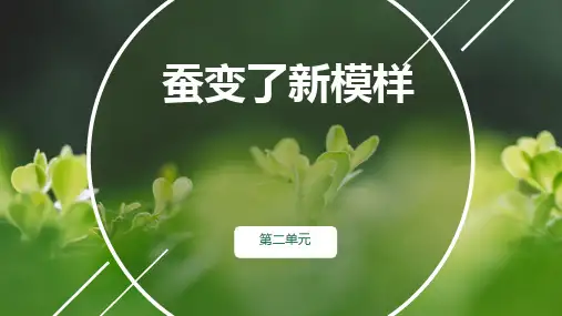 教科版三年级科学下册4.蚕变了新模样 (课件)(共21张PPT+视频).ppt