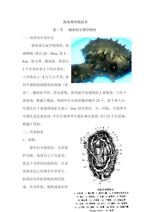 海参养殖技术.