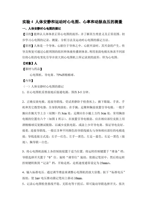 实验5 人体安静和运动时心电图、心率和动脉血压的测量