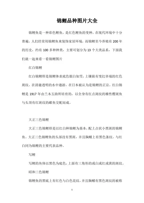 锦鲤品种图片大全